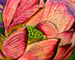 Tattoos - LOTUS LAND !! - 21306